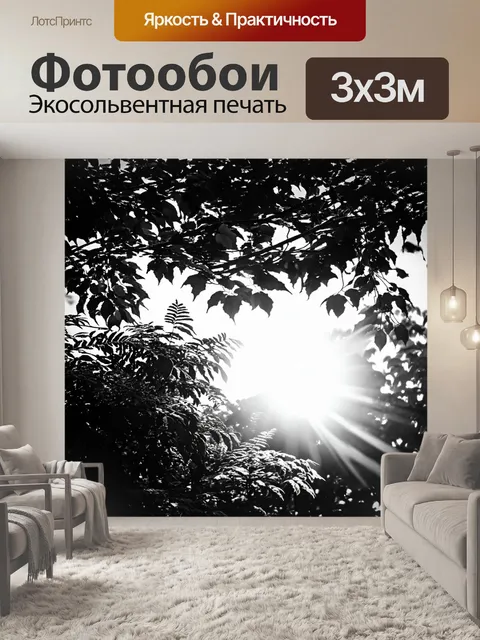 Фотообои черно-белый, показывающие солнечные лучи, пробивающиеся сквозь листву, где техника света и тени создает…