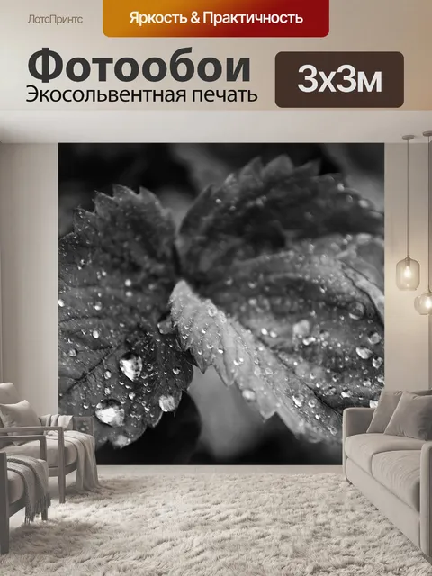 Фотообои Дождь на листьях