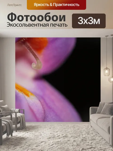 Фотообои орхидея
