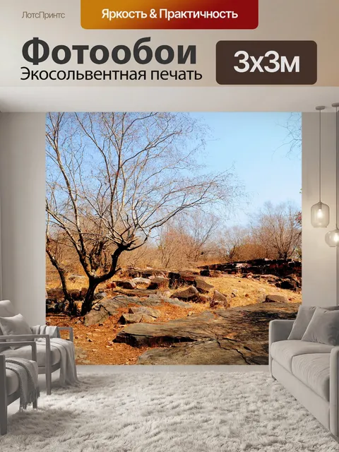 Фотообои Сухая и пустынной