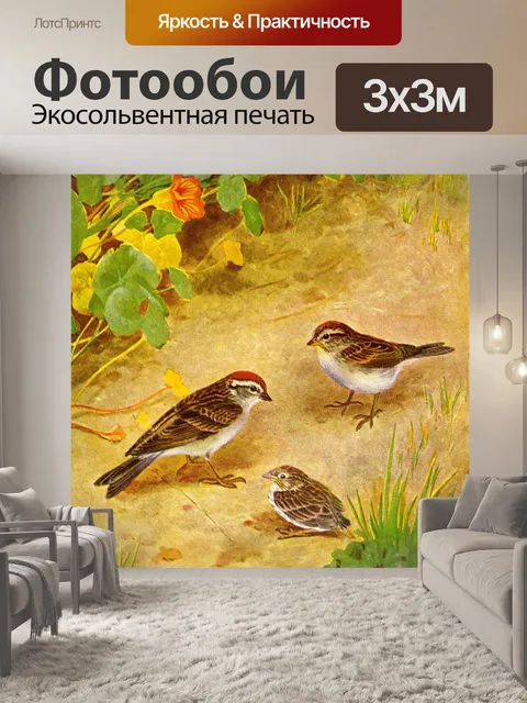 Фотообои Чиппинг Воробей Винтаж Птица