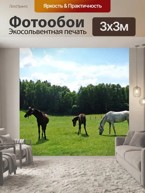Фотообои Лошади