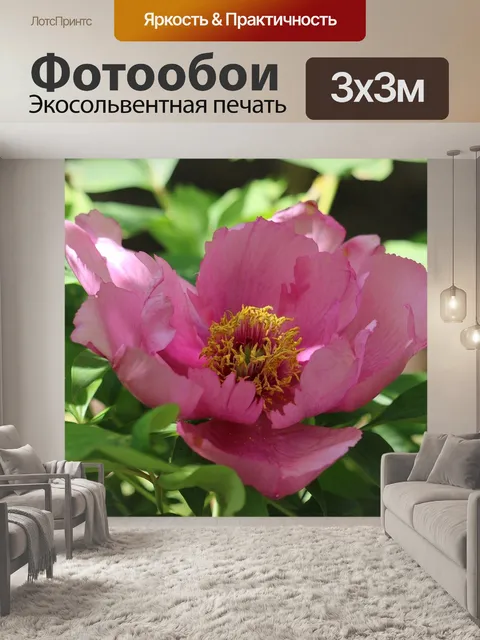Фотообои Пион