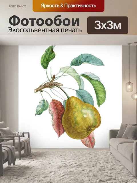 Фотообои Груша фрукты винтажное искусство