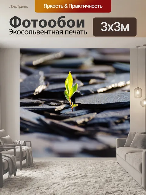 Фотообои Зеленые растения