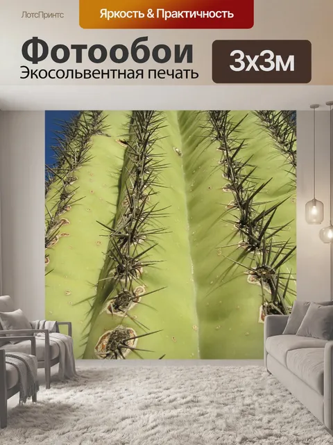 Фотообои Сагуаро