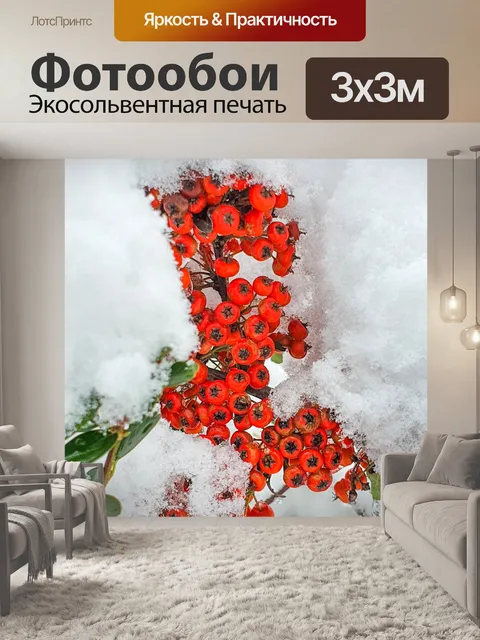 Фотообои красные ягоды, покрытые снегом