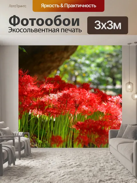 Фотообои Красная лилия паука