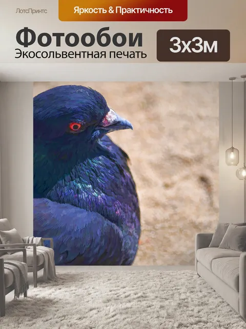 Фотообои Окрашенный голубь