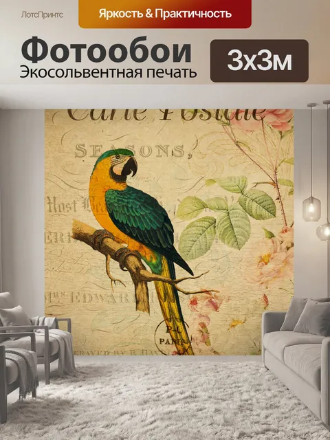 Фотообои Открытка Птицы Винтаж Ара