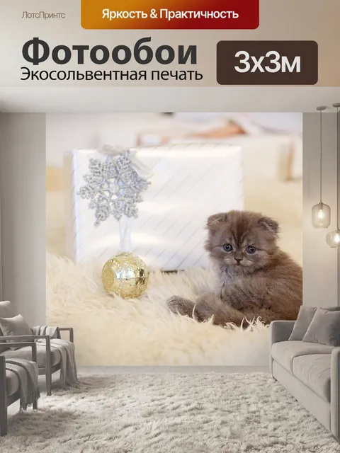 Фотообои Котик