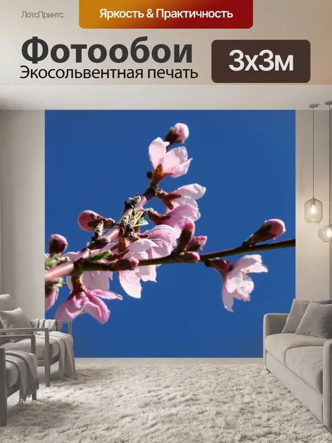 Фотообои Цветы