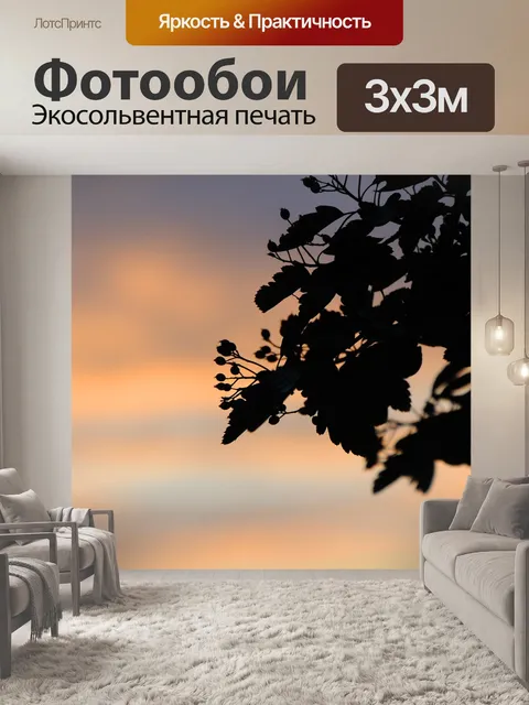 Фотообои Небеса