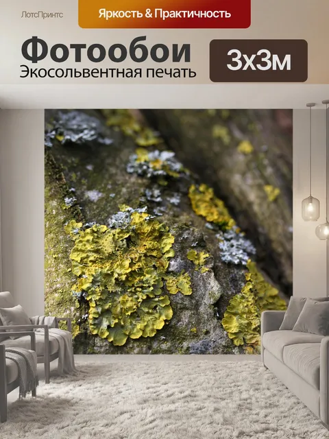 Фотообои Лишайники на дереве