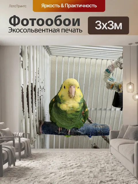 Фотообои Зеленый и желтый попугай