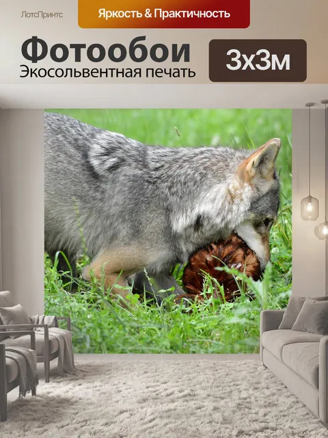 Фотообои Волк