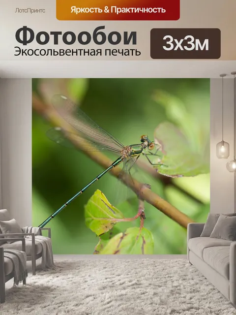Фотообои Lestes Viridis