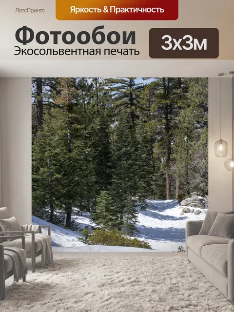 Фотообои Зимние сосны