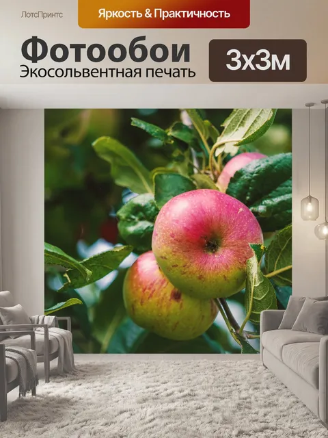 Фотообои Яблоко