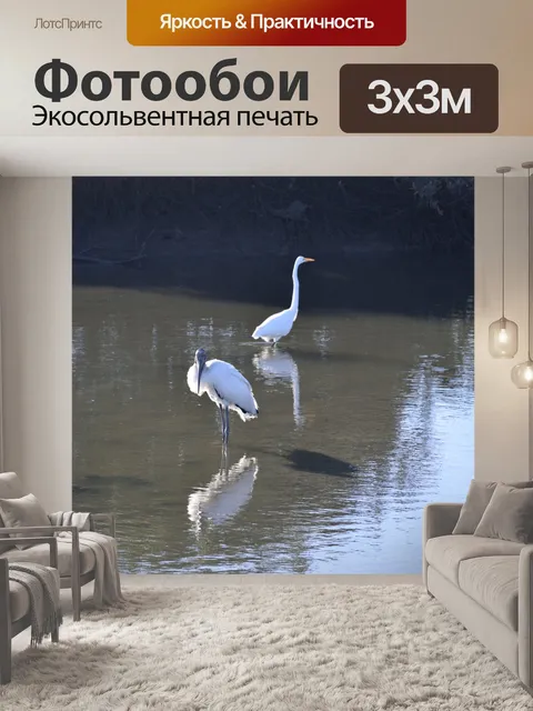 Фотообои Белая цапля и Вуд аист