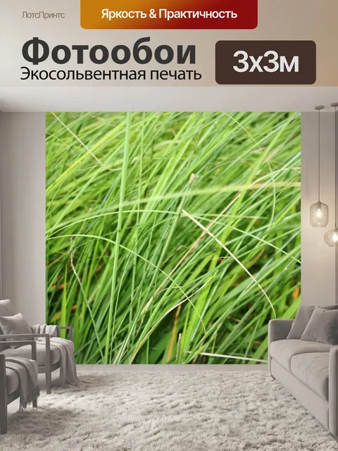 Фотообои Зеленая трава фон 2