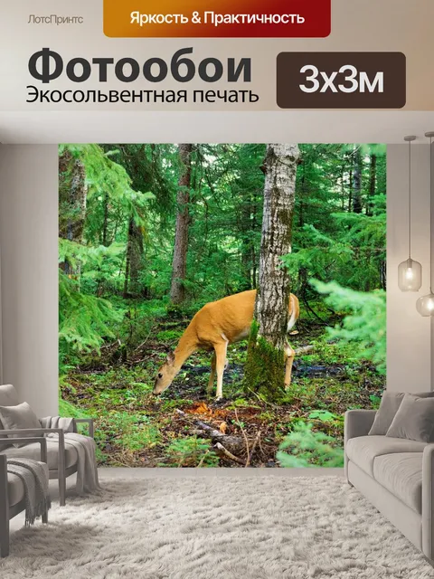 Фотообои Лось