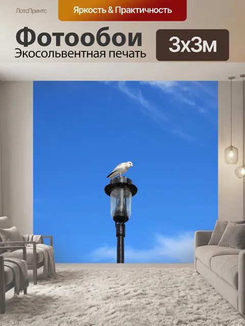 Фотообои Чайка