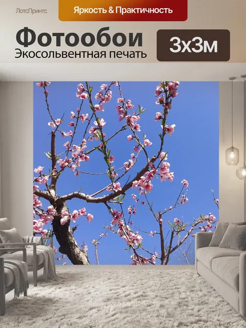 Фотообои Персиковые цветы
