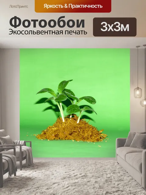 Фотообои Молодое дерево
