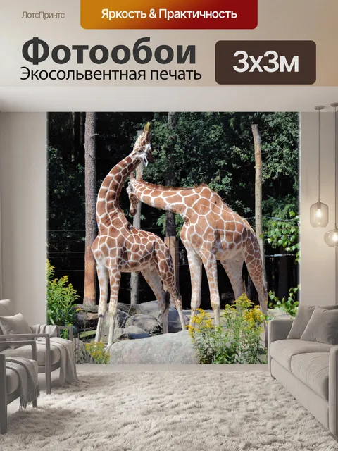 Фотообои Шея борьба 1