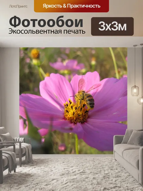 Фотообои Розовый