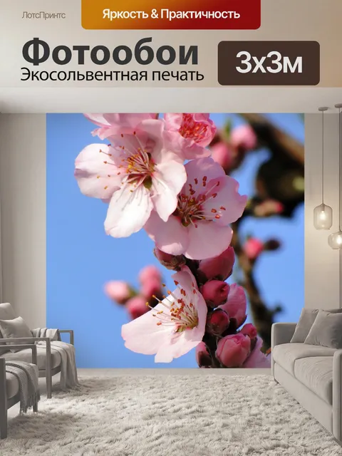 Фотообои Цветок миндаля