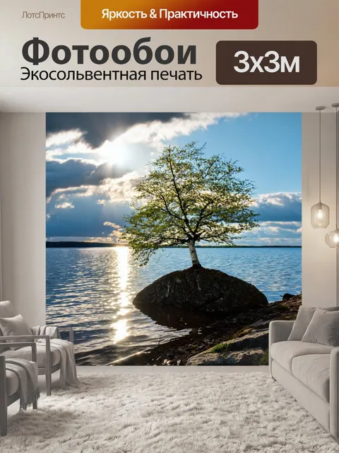 Фотообои береза, растущая на скале у побережья озера, с отражением в воде, солнечные лучи пробиваются сквозь облака…