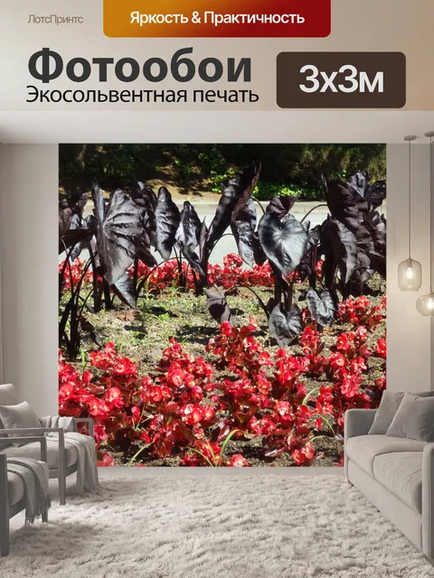 Фотообои красные цветы
