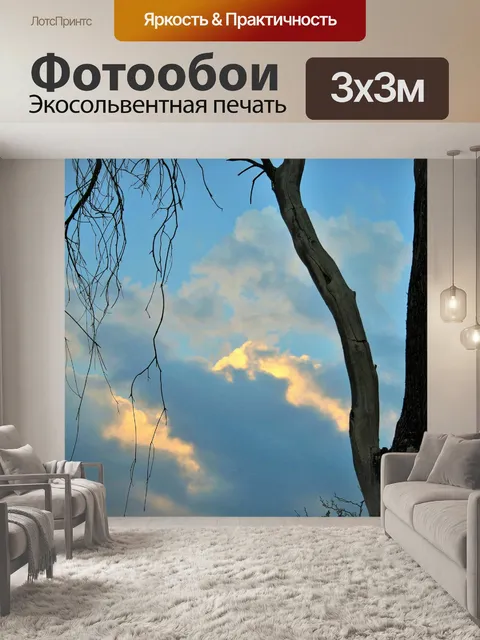Фотообои Мертвое дерево против облаков