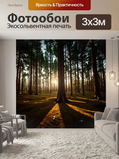 Фотообои Темный сосновый лес,снятый изнутри,сквозь стволы деревьев,проникают яркие лучи золотистого солнечного света