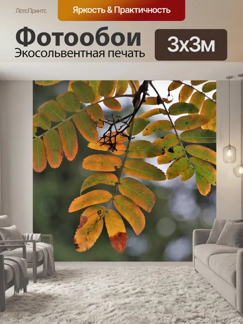 Фотообои Осень
