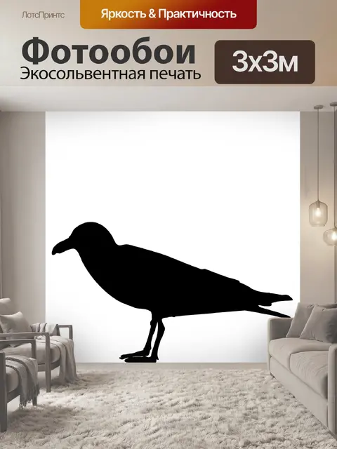 Фотообои Чайка