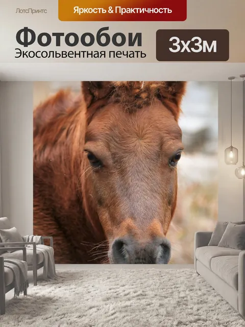 Фотообои Шотландский Пони Единорог