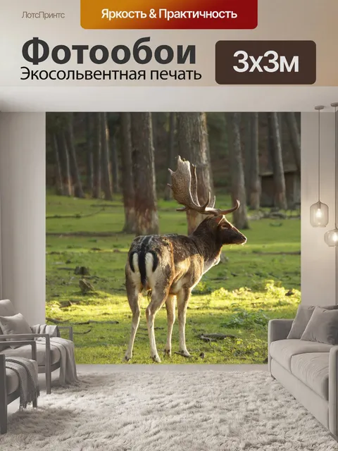 Фотообои Лань олень косуля
