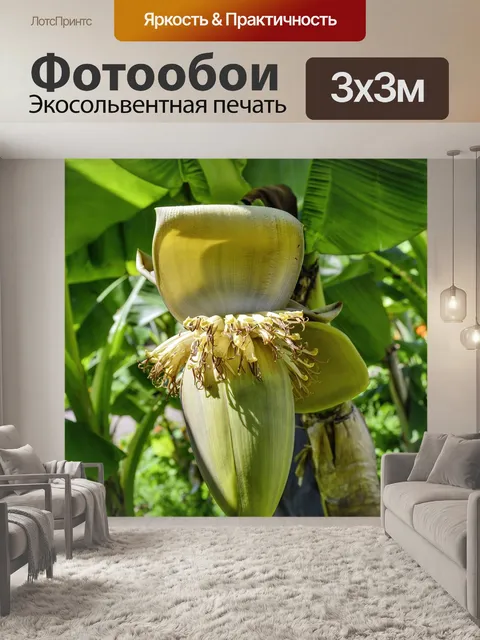 Фотообои Волокна банана