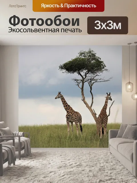 Фотообои Жирафы