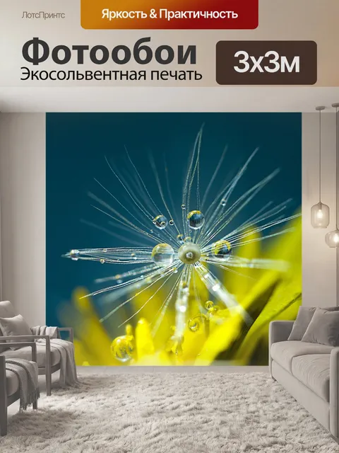 Фотообои Одуванчик