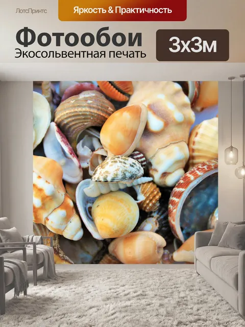 Фотообои коллекция морских раковин