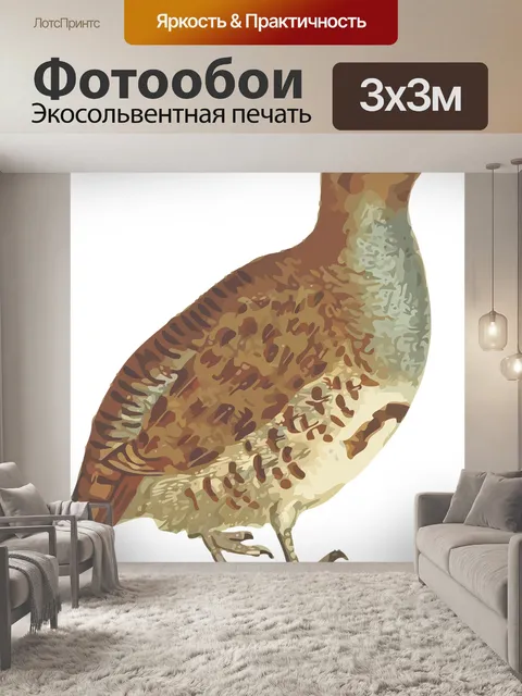 Фотообои Животное