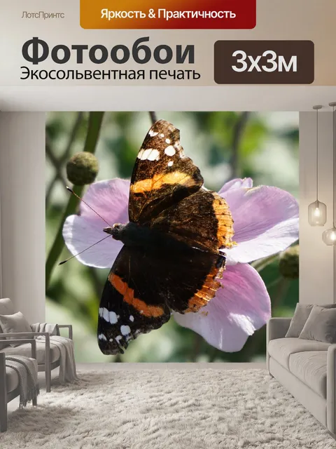 Фотообои Бабочка