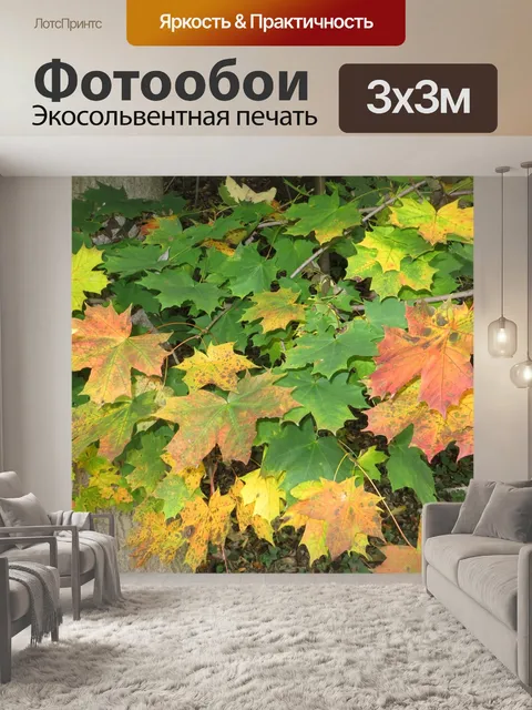 Фотообои Кленовые листья