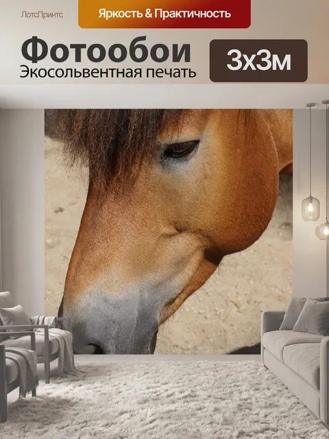 Фотообои Лошадь