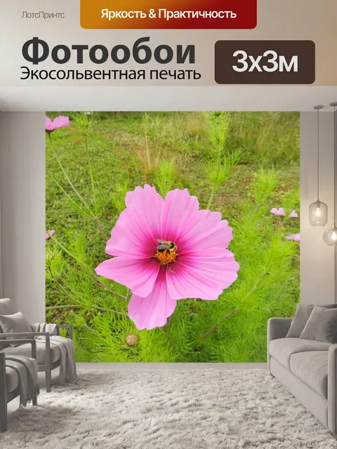 Фотообои Соната и пчела 1