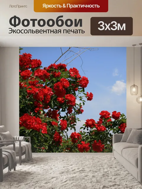 Фотообои ярко-красный розовый куст